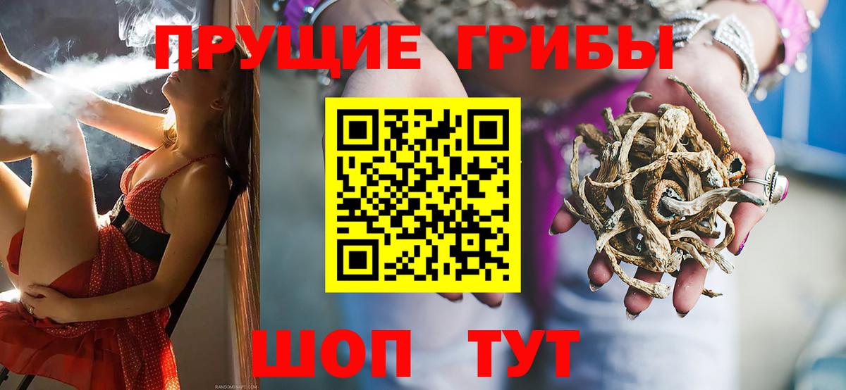 Галлюциногенные грибы GOLDEN TEACHER  Вход с VPN  Галлюциногенные грибы MAGIC MUSHROOMS  Кумертау 